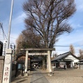 実際訪問したユーザーが直接撮影して投稿した小竹町神社浅間神社の写真