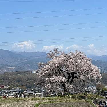 実際訪問したユーザーが直接撮影して投稿した神山町鍋山文化財武田八幡宮 二ノ鳥居の写真