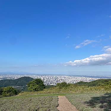 B-Sさんが投稿した円山西町山 / 峠のお店幌見峠/ホウミトウゲの写真