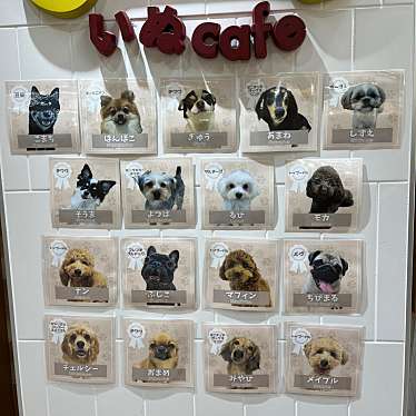 犬カフェRIO 鎌倉小町通り店のundefinedに実際訪問訪問したユーザーunknownさんが新しく投稿した新着口コミの写真