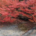 実際訪問したユーザーが直接撮影して投稿した萩尾寺呑山観音寺の写真