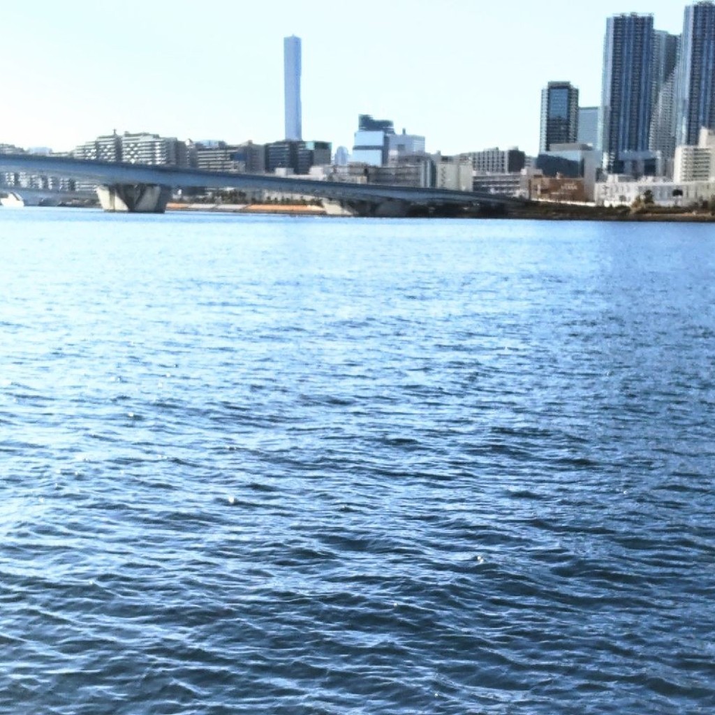 実際訪問したユーザーが直接撮影して投稿した河川東京湾の写真