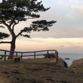 実際訪問したユーザーが直接撮影して投稿した秋谷公園立石公園の写真