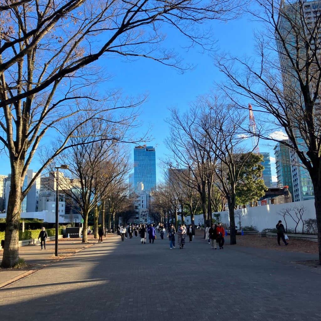 実際訪問したユーザーが直接撮影して投稿した神南散策路代々木公園 ケヤキ並木の写真