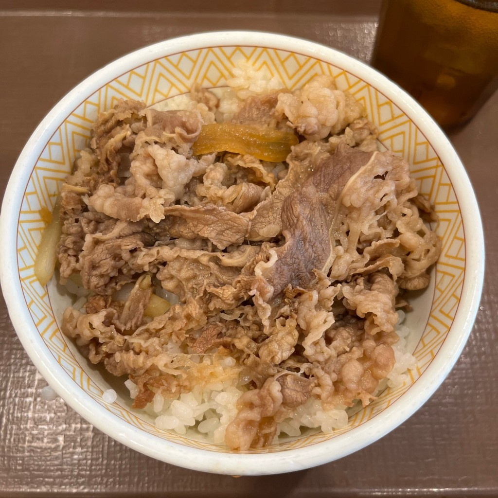 ユーザーが投稿した牛丼の写真 - 実際訪問したユーザーが直接撮影して投稿した港南牛丼すき家 港南二丁目店の写真