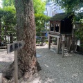 実際訪問したユーザーが直接撮影して投稿した茶臼山町神社黒龍社の写真