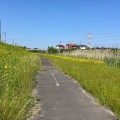 実際訪問したユーザーが直接撮影して投稿した三好町公園境川緑地の写真