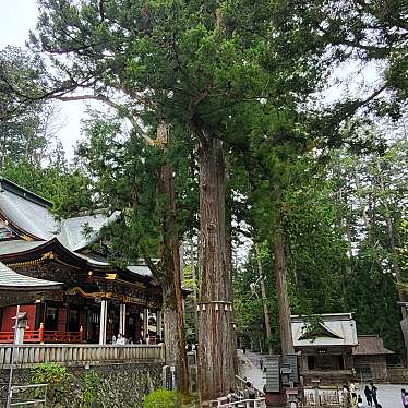 三峯神社 御神木のundefinedに実際訪問訪問したユーザーunknownさんが新しく投稿した新着口コミの写真