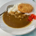 カレーライス - 実際訪問したユーザーが直接撮影して投稿した師岡町うどんどん亭の写真のメニュー情報