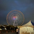 実際訪問したユーザーが直接撮影して投稿した海陽町和菓子虎屋ういろ ラグーナテンボス店の写真