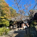 実際訪問したユーザーが直接撮影して投稿した泉涌寺山内町寺泉涌寺 楊貴妃観音堂の写真