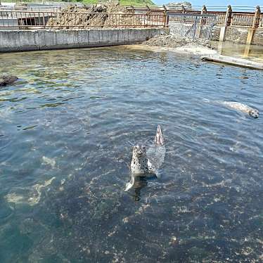 実際訪問したユーザーが直接撮影して投稿した祝津水族館 / アクアリウムおたる水族館 海獣公園の写真