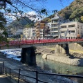 実際訪問したユーザーが直接撮影して投稿した湯本地域名所あじさい橋の写真