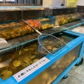 実際訪問したユーザーが直接撮影して投稿した魚市場前博物館気仙沼 海の市の写真