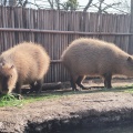 実際訪問したユーザーが直接撮影して投稿した則貞公園ときわ公園の写真