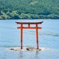 実際訪問したユーザーが直接撮影して投稿した元箱根神社九頭龍神社 本宮の写真