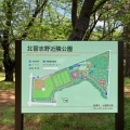 実際訪問したユーザーが直接撮影して投稿した習志野台公園北習志野近隣公園の写真