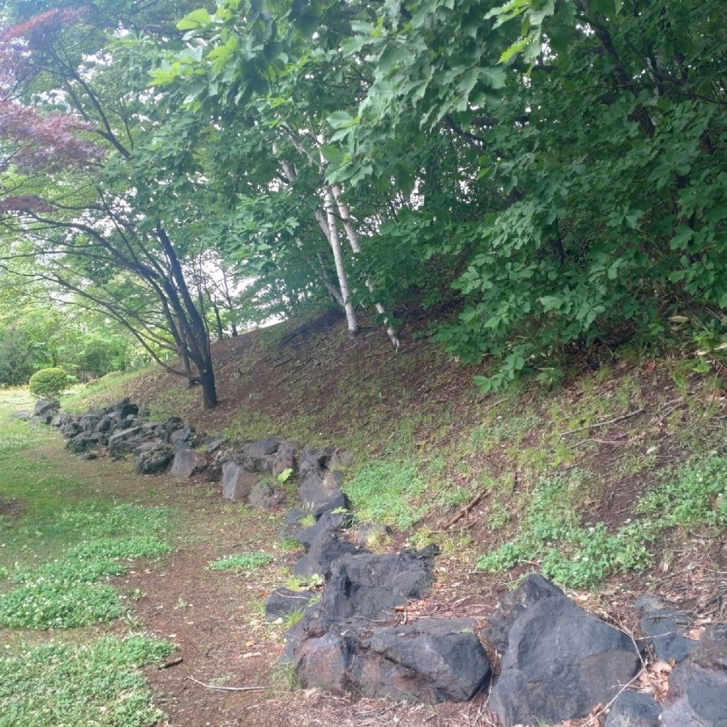 実際訪問したユーザーが直接撮影して投稿した平岸二条歴史 / 遺跡天神山チャシ跡の写真