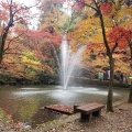 実際訪問したユーザーが直接撮影して投稿した加茂新田公園加茂山公園の写真