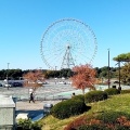 実際訪問したユーザーが直接撮影して投稿した臨海町公園東京都立葛西臨海公園の写真