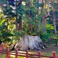 実際訪問したユーザーが直接撮影して投稿した百沢神社岩木山神社の写真