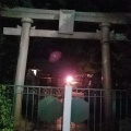 実際訪問したユーザーが直接撮影して投稿した奥沢神社奥沢神社の写真