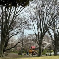 実際訪問したユーザーが直接撮影して投稿した土呂町公園見晴公園の写真