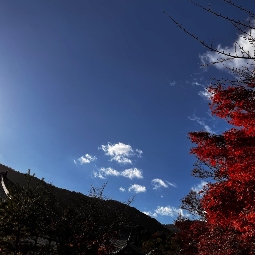 LINE-マークルンさんが投稿した嵯峨天龍寺芒ノ馬場町寺のお店天龍寺/テンリュウジの写真