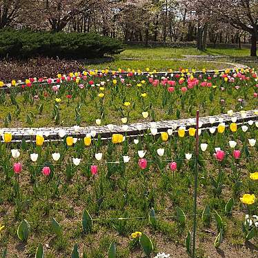 実際訪問したユーザーが直接撮影して投稿した一宮町国分公園山梨県森林公園 金川の森の写真