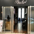 実際訪問したユーザーが直接撮影して投稿した角田町イタリアンBLUE BIRD 梅田店の写真