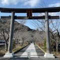 実際訪問したユーザーが直接撮影して投稿した新堀神社高麗神社の写真