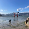 実際訪問したユーザーが直接撮影して投稿した宮島町神社嚴島神社 参拝入口の写真