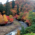 実際訪問したユーザーが直接撮影して投稿した南中野山 / 峠中野もみじ山の写真