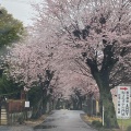 実際訪問したユーザーが直接撮影して投稿した結城公園城跡歴史公園の写真