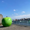 実際訪問したユーザーが直接撮影して投稿した脇浜海岸通地域名所青りんごモニュメントの写真