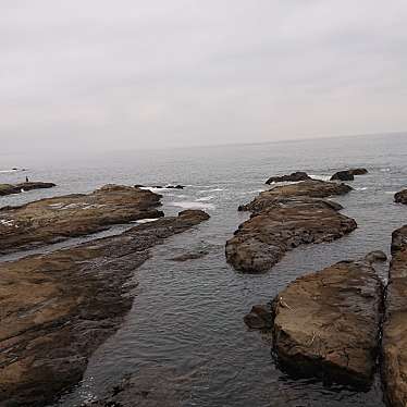 実際訪問したユーザーが直接撮影して投稿した海岸 / 岬江ノ島海岸の写真