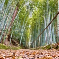 実際訪問したユーザーが直接撮影して投稿した真福寺町寺真福寺の写真