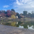 実際訪問したユーザーが直接撮影して投稿した登大路町公園奈良公園 登大路園地の写真