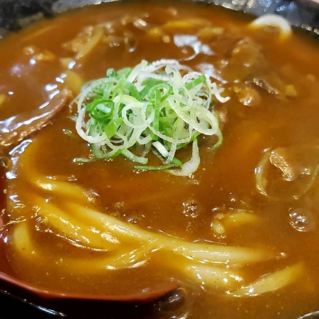 ユーザーが投稿したカレーうどんの写真 - 実際訪問したユーザーが直接撮影して投稿した難波うどん四國 なんばウォーク西店の写真