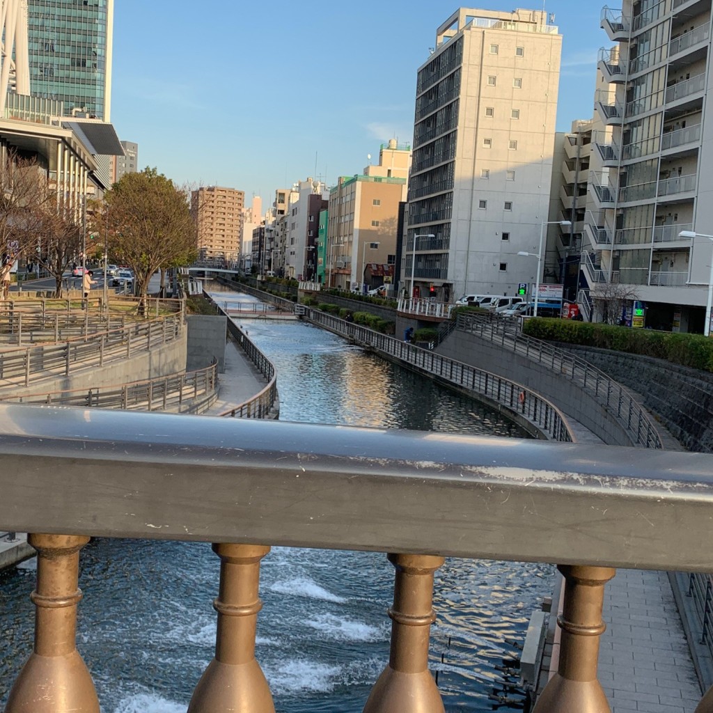 実際訪問したユーザーが直接撮影して投稿した業平花のきれいなスポット河津桜の写真