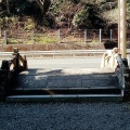 実際訪問したユーザーが直接撮影して投稿した八坂神社事任八幡宮の写真