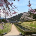 実際訪問したユーザーが直接撮影して投稿した城戸ノ内町庭園一乗谷朝倉氏庭園の写真