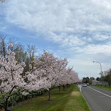 実際訪問したユーザーが直接撮影して投稿した厚田区望来公園戸田記念墓地公園の写真