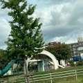 実際訪問したユーザーが直接撮影して投稿した厚別南公園馬場公園の写真