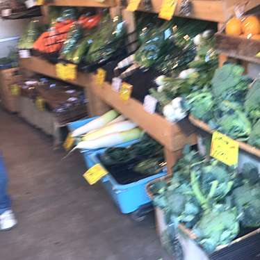 実際訪問したユーザーが直接撮影して投稿した春岡産地直売所中村農園 (野菜直売)の写真