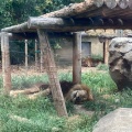 実際訪問したユーザーが直接撮影して投稿した百間地域名所東武動物公園東ゲートの写真