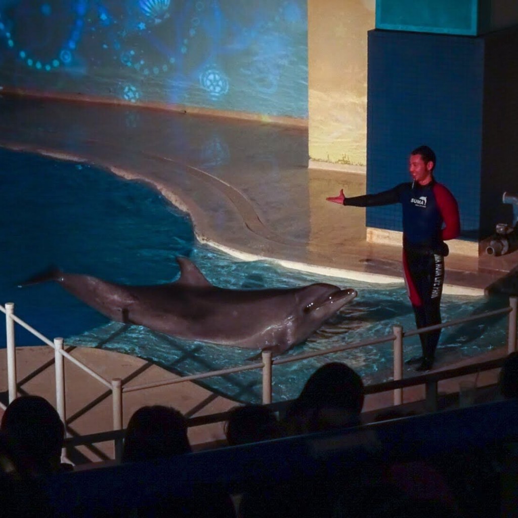 luuuunaさんが投稿した若宮町水族館 / アクアリウムのお店神戸市立須磨海浜水族園/コウベシリツスマカイヒンスイゾクエンの写真