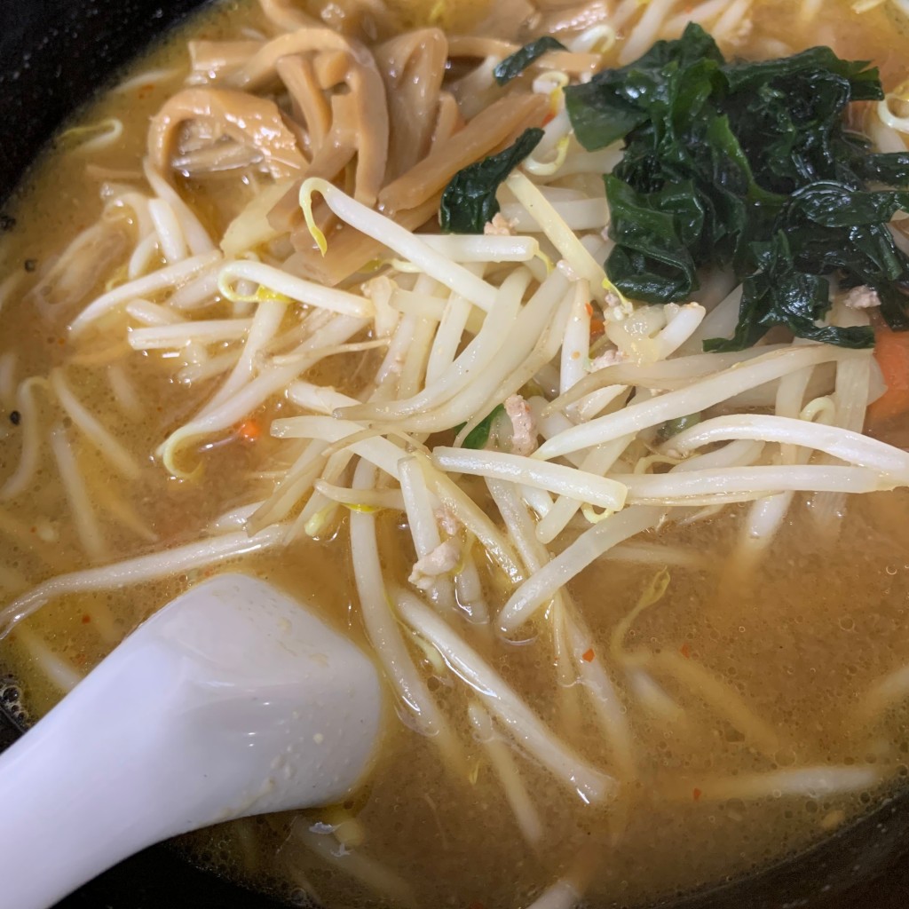 ユーザーが投稿した味噌ラーメンの写真 - 実際訪問したユーザーが直接撮影して投稿した高田中華料理みんぱい 城東店の写真