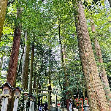 dan子tentenさんが投稿した山本町神社のお店椿大神社/ツバキオオカミヤシロの写真