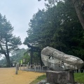 実際訪問したユーザーが直接撮影して投稿した浦戸公園桂浜公園の写真